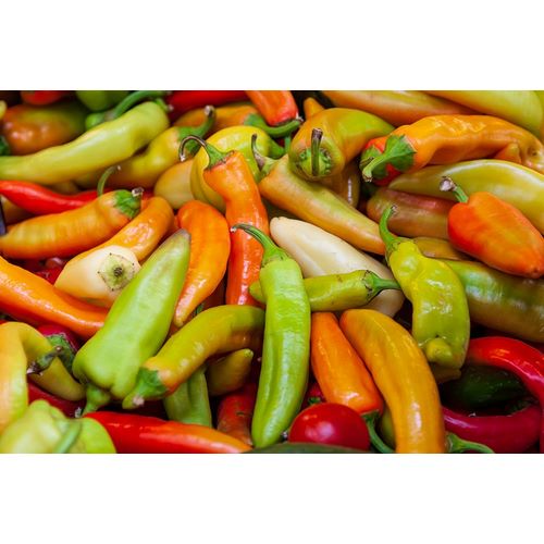 Haseltine, Tom 아티스트의 Variety of peppers작품입니다.